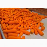 Морковь очищенная в вакууме/ кг