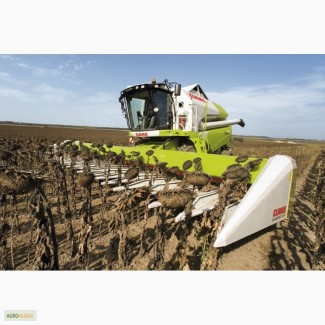 CLAAS Sunspeed 12-70 жатка для уборки семечки - 2012 г