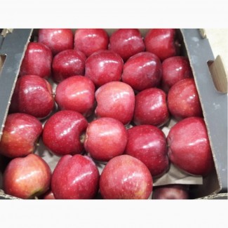 Яблоки цена с НДС Альдаред, Голд.калибры :60/65/70/80