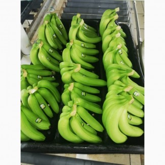 Бананы Ананасы