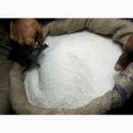 Сахар оптом от производителя