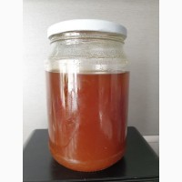 Продам гречишный мед высокого качества