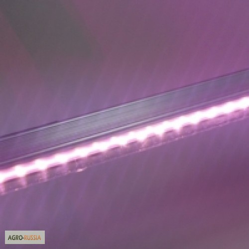 Фото 2. Светодиодный фитосветильник T5, 15Вт (полноспектральный)