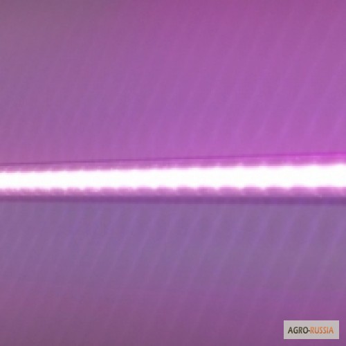 Фото 3. Светодиодный фитосветильник T5, 15Вт (полноспектральный)
