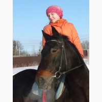 Детский конный лагерь в Подмосковье в дни зимних и летних каникулы