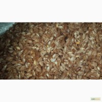 Продаем лучшие сорта узбекского риса от производителя