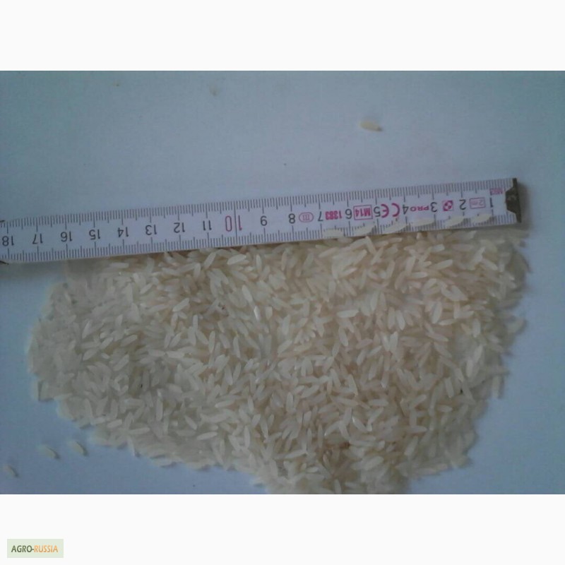 Фото 3. Продаем лучшие сорта узбекского риса от производителя