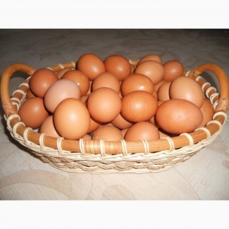 Мясо птицы и яйцо из фермерского хозяйства