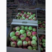 Яблоки оптом в Крыму
