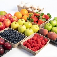 Лотки из пульперкартона для упаковки овощей и фруктов