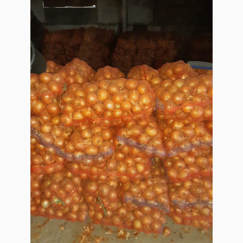 Фото 2. Продам овощи от Киргизского производителя