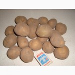 Продаем Семенной картофель, сорт САТУРНА, 1 репродукции