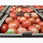 Продам томаты, сорт Ладога, Таганка