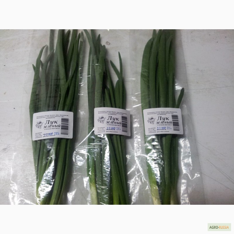 Фото 3. Продам зеленый лук в упаковке 50, 100, 200 грамм