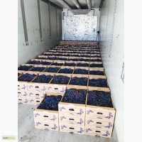 Свежий столовый виноград в ассортименте (оптом)