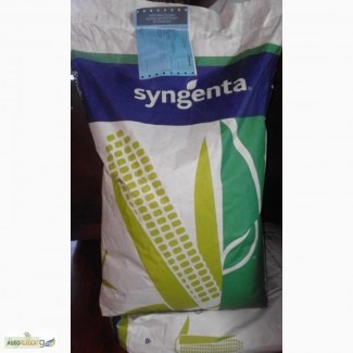 Семена кукурузы Сингента(Syngenta), Швейцария