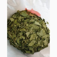 Смородина таёжная (лист) (оптом от 5кг)