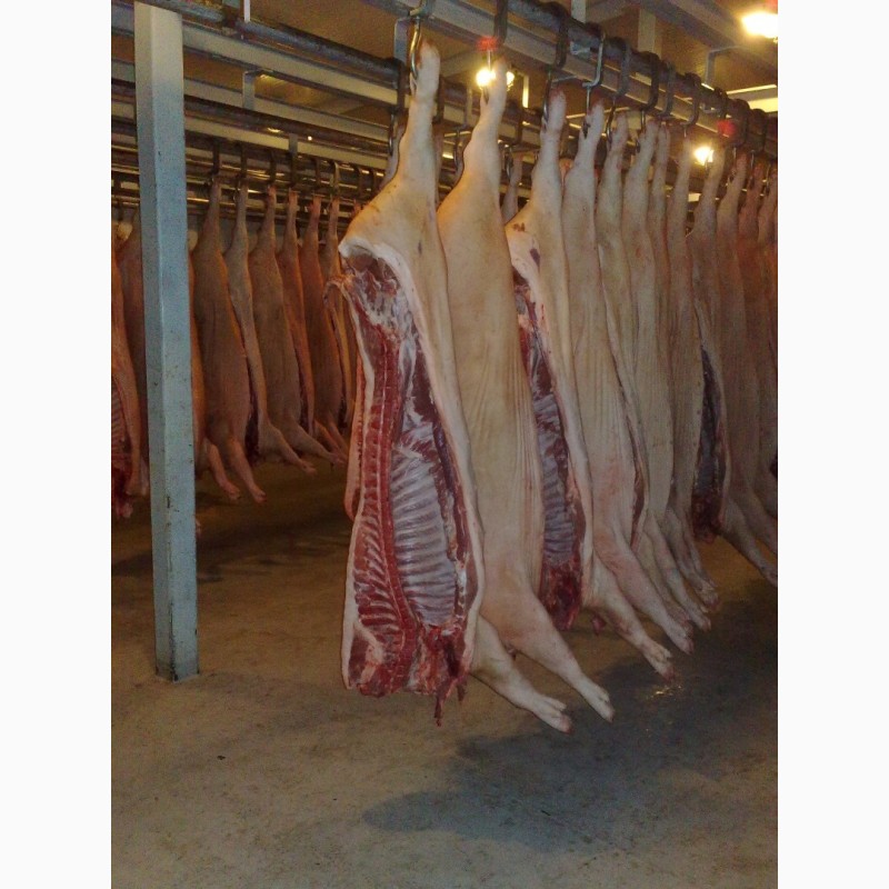Фото 3. Мясо свинина