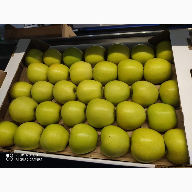 Фото 2. Яблоки оптом 70+ от производителя от 70 р/кг