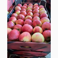 Яблоки оптом 70+ от производителя от 70 р/кг