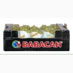 Виноград кишмиш из Турции от фабрики BABACANLAR EXPORT 304; MPORT