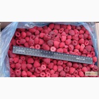 Продаем замороженные ягоды