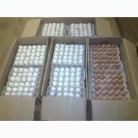 Продажа: Яйца С1, С2, С0. Миланж