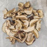 Белый сухой гриб