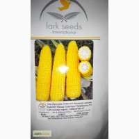 Сахарная кукуруза гибрид Добрыня f1 Lark Seeds USA