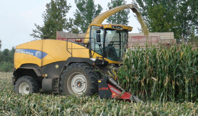 Фото 4. Жатка для уборки кукурузы DOMINONI(Италия)