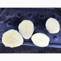Картофель от производителя (КФХ) ОПТОМ