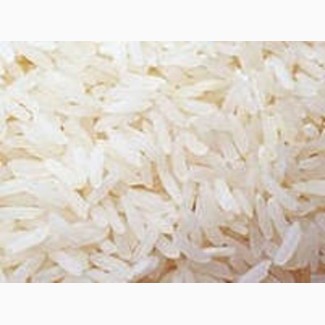 Элитные семена риса
