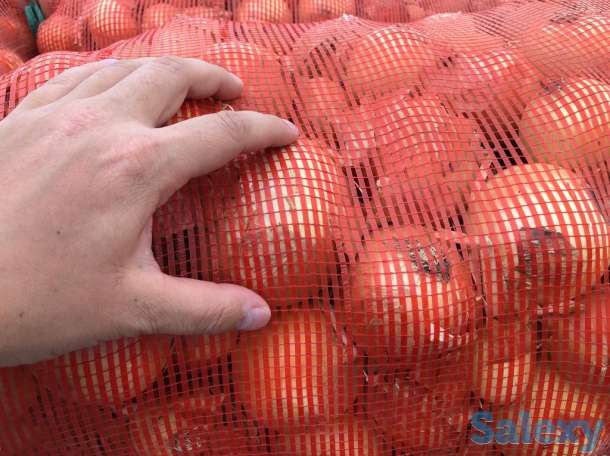 Фото 2. Продаем лук оптом из Казахстана г.Актобе, 34 тонн