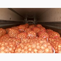 Продаем лук оптом из Казахстана г.Актобе, 34 тонн