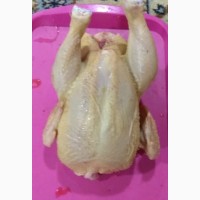 Курица для жарки домашняя, Халяль