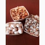 Эко-упаковка для грибов, овощей и фруктов