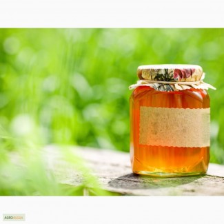 Производим и продаём мёд. Экспорт из РФ
