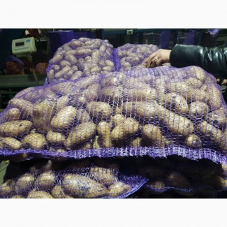 Продам картофель, сорт-Гранада, Белороза