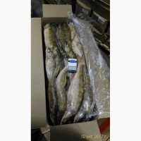 Продам замороженную рыбу из Астрахани