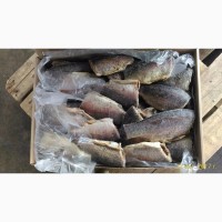 Продам замороженную рыбу из Астрахани