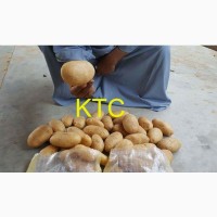 Египетский картофель