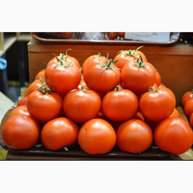 Фото 3. Покупаю огурцы и томаты у фермеров