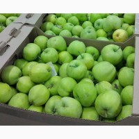 Яблоки урожая 2019