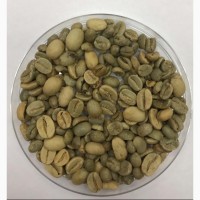 Продам кофе зеленый в зернах