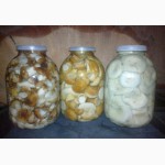 Продам соленые грибы белый, грузди, подтопольник