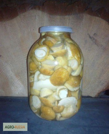 Фото 2. Продам соленые грибы белый, грузди, подтопольник