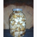 Продам соленые грибы белый, грузди, подтопольник