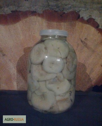 Фото 4. Продам соленые грибы белый, грузди, подтопольник