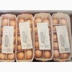 Упаковка для куриных яиц на 10 ячеек (250 100 70 мм)