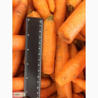 Продаем лом мытой моркови